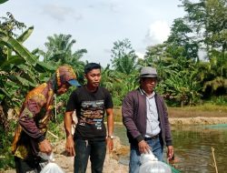 BUMDES SIPATUO JAYA DESA KAKULLASAN TEBAR 20 RIBU BIBIT IKAN AIR TAWAR