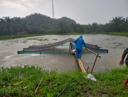 BUMdesa Desa Leling Kembangkan Budidaya Ikan Air Tawar, Kelola Dana Di Atas 200 Juta Rupiah
