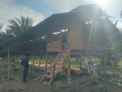 Bumdes Sipatuo Leling Utara Kembangkan Usaha Peternakan Ayam Petelur Dari Dana Desa Tahun 2025