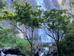 Sejuk dan memukau: munyusuri keindahan air terjun sambabo