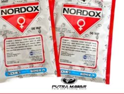 Produk nordox semakin diminati  petani untuk perlindungan tanaman