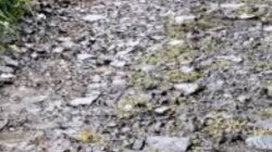 Akses Jalan Rusak Parah, Warga Passembuk Harap Perbaikan Segera