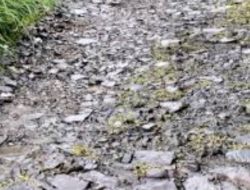 Akses Jalan Rusak Parah, Warga Passembuk Harap Perbaikan Segera