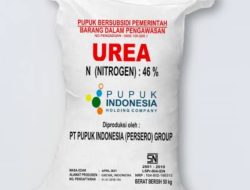 Kinerja Pengawas Pupuk Subsidi Di Sulbar Di Pertanyakan, Dugaan Penyelewengan Meningkat