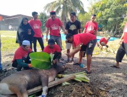 Polsek Sampaga Gelar Kurban Idul Adha 1447 hijriah, Berlangsung Aman Dan Penuh Kebersamaan
