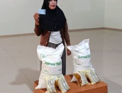 Penyaluran Bantuan Pangan Februari – Maret 2026 Di Desa Tamemongga Disambut Antusias Warga