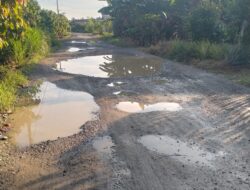 Jalan penghubung  kalonding-salubarana Rusak, warga: “sudah seperti kolam ikan air tawar”