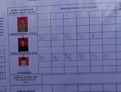 Suasana Kondusif Warnai Pilkades Antar Waktu Desa TOABO, Akinuddin Raih Kemenangan